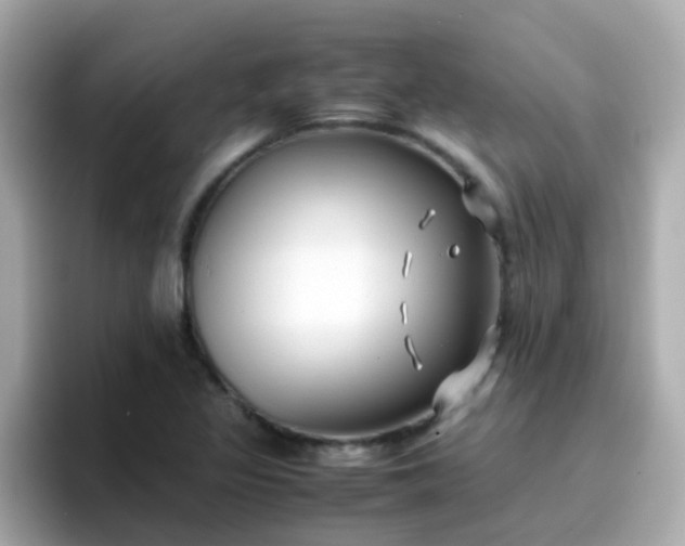 X0000096671317200802121143
