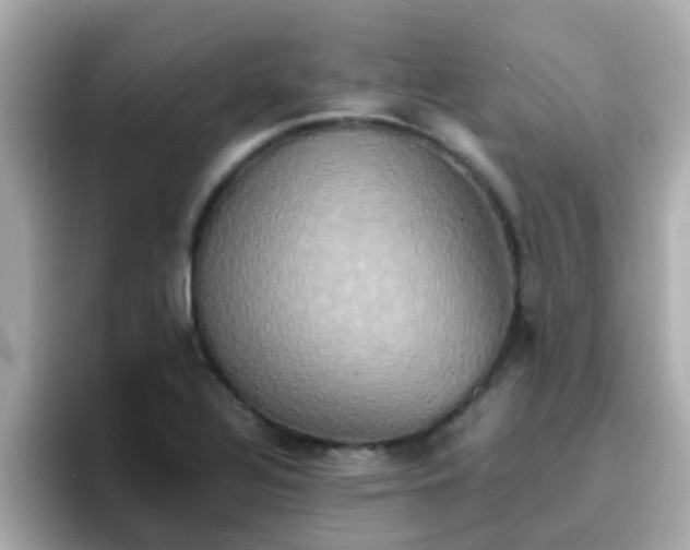 X0000096671320200802121143