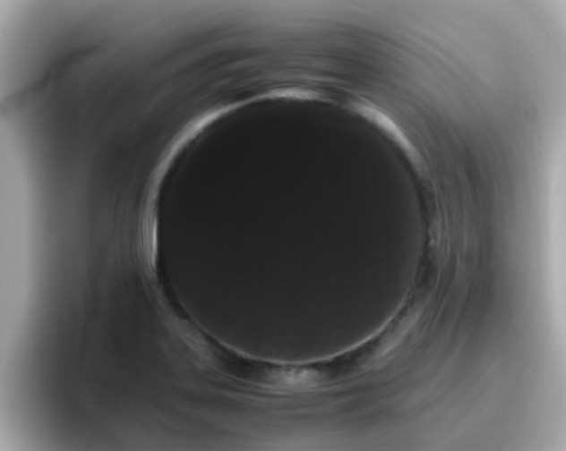 X0000096671323200802121143