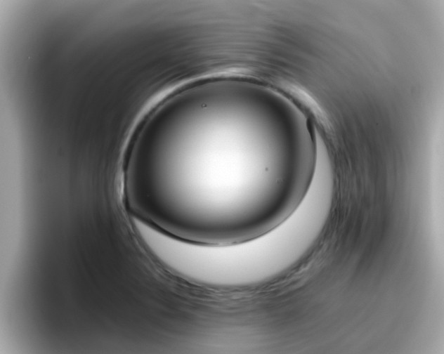X0000096671324200802121143