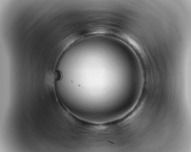 X0000096671329200802121143