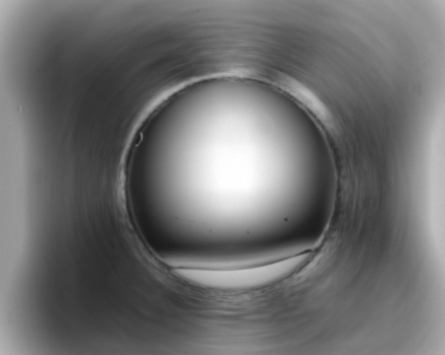 X0000096671332200802121143