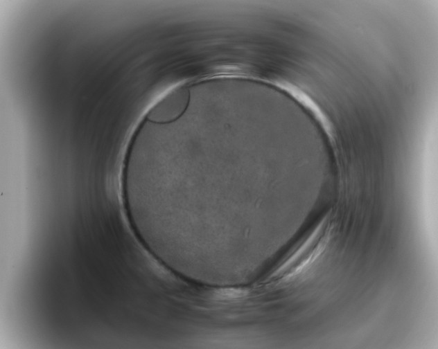 X0000096671333200802121143