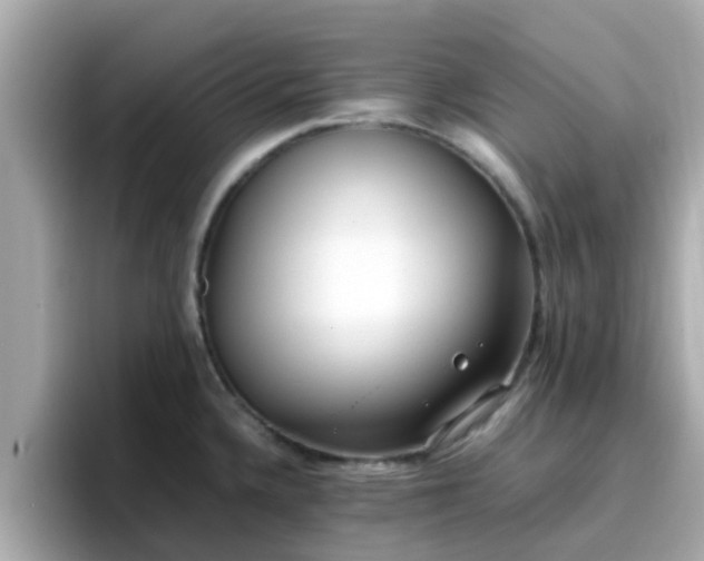 X0000096671336200802121143