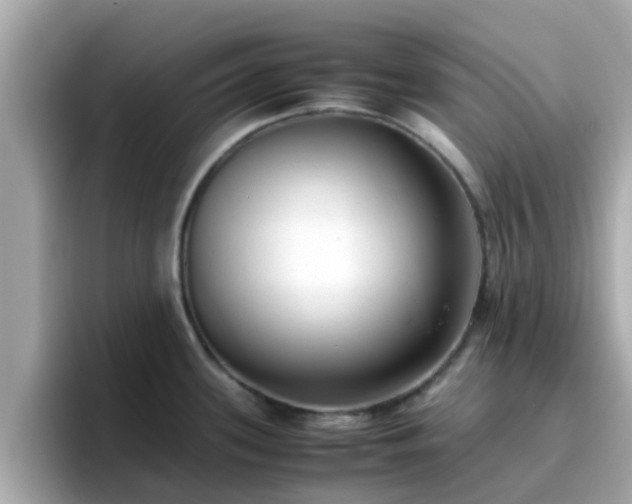 X0000096671339200802121143