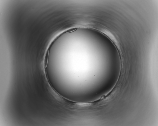 X0000096671344200802121143