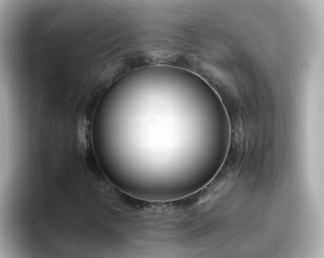 X0000096671346200802121143