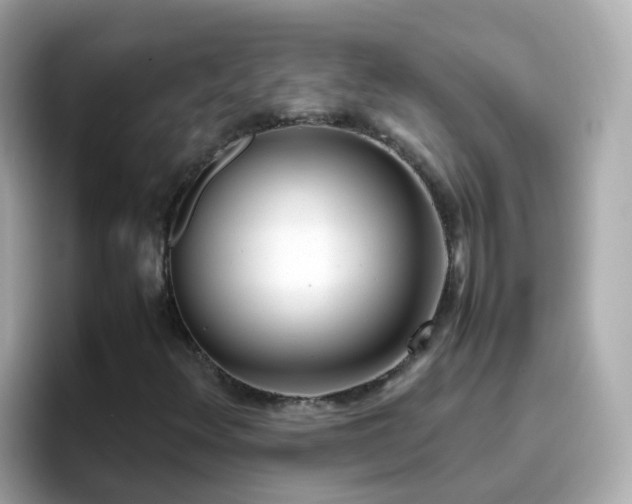 X0000096671348200802121143