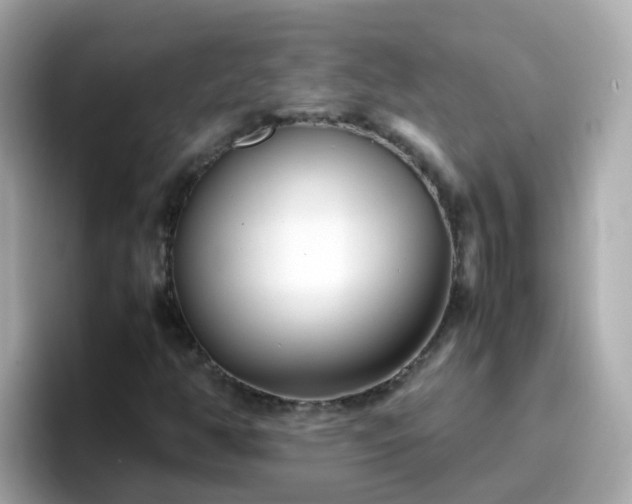 X0000096671350200802121142