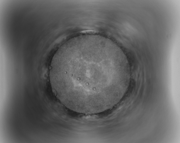 X0000096671351200802121142