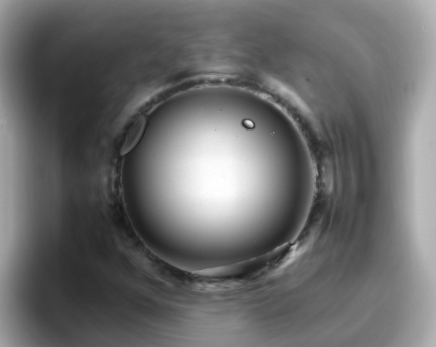 X0000096671352200802121142
