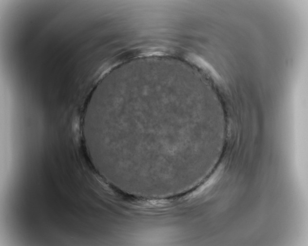 X0000096671353200802121142