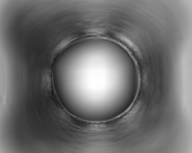 X0000096671354200802121142