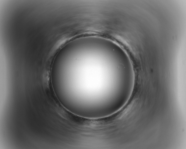 X0000096671355200802121142