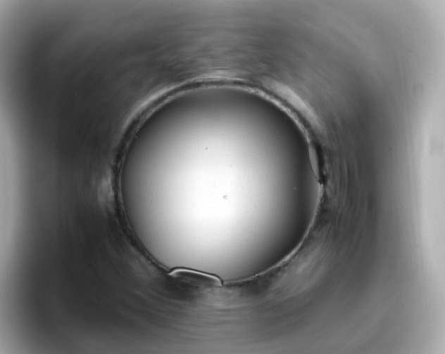 X0000096671356200802121142