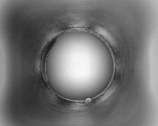 X0000096671357200802121142