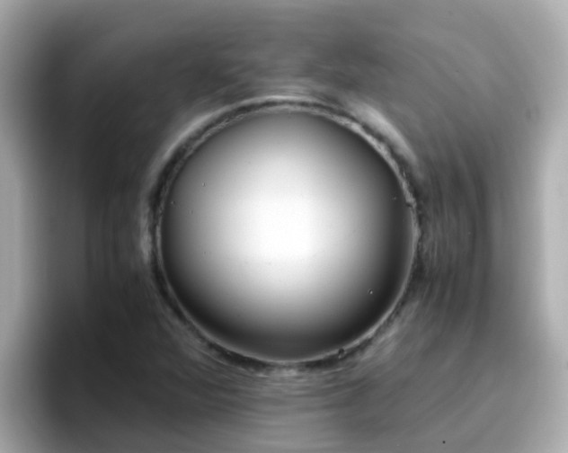 X0000096671360200802121142