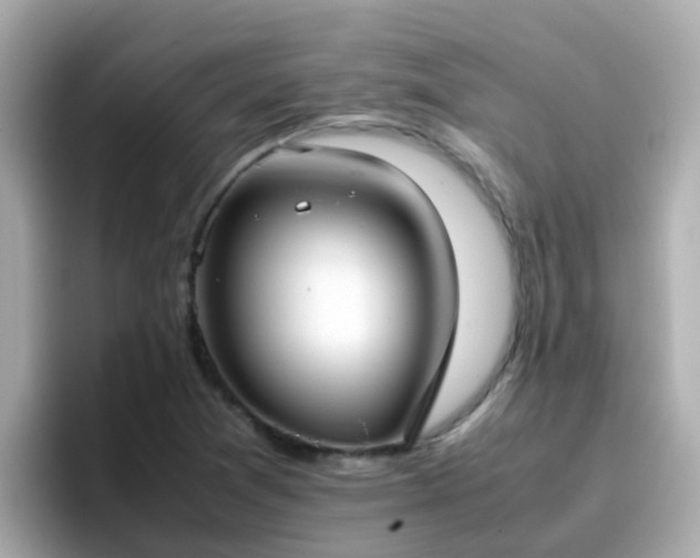 X0000096671361200802121142