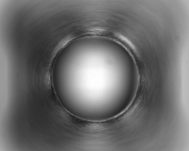 X0000096671362200802121142