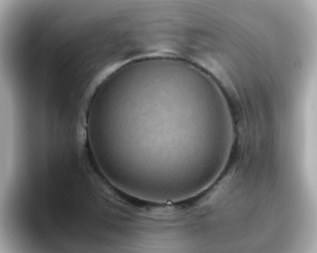 X0000096671363200802121142
