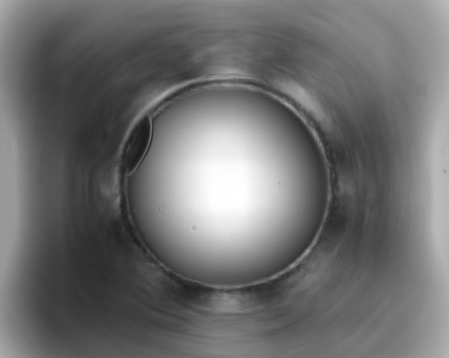 X0000096671364200802121142