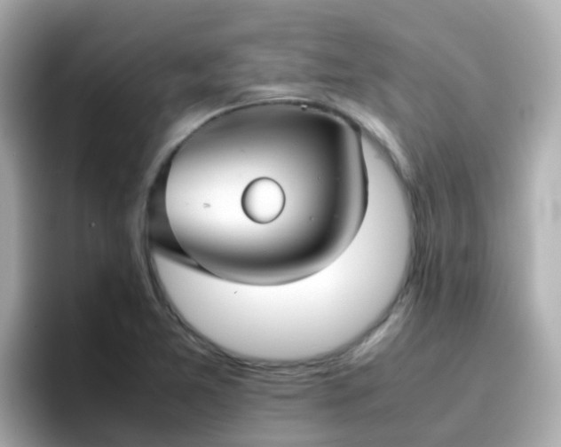 X0000096671365200802121142