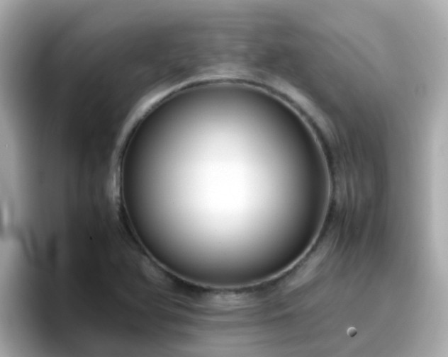 X0000096671366200802121142