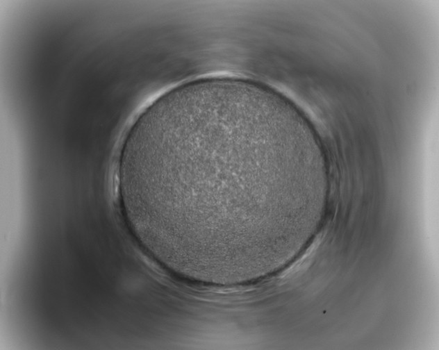 X0000096671367200802121142