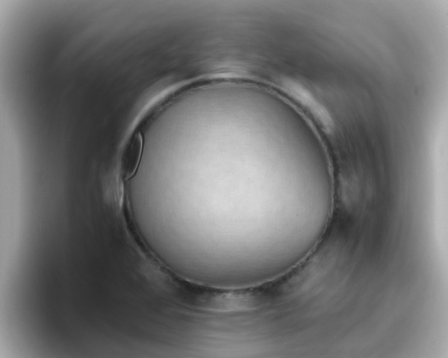 X0000096671368200802121142