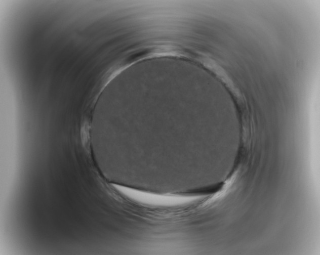 X0000096671369200802121142