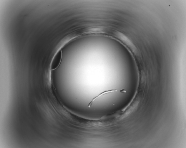 X0000096671370200802121142