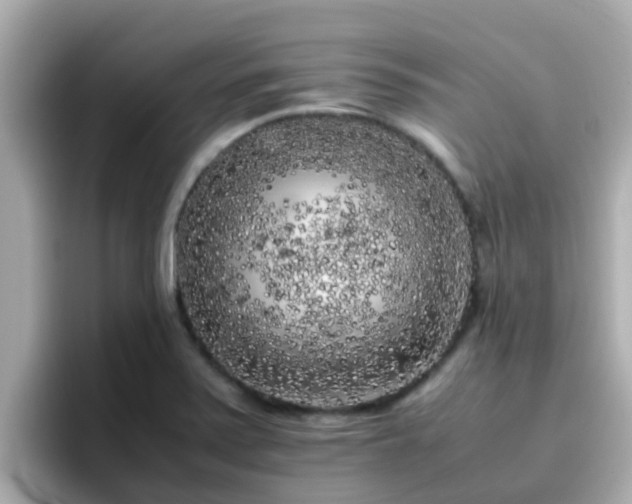 X0000096671371200802121142