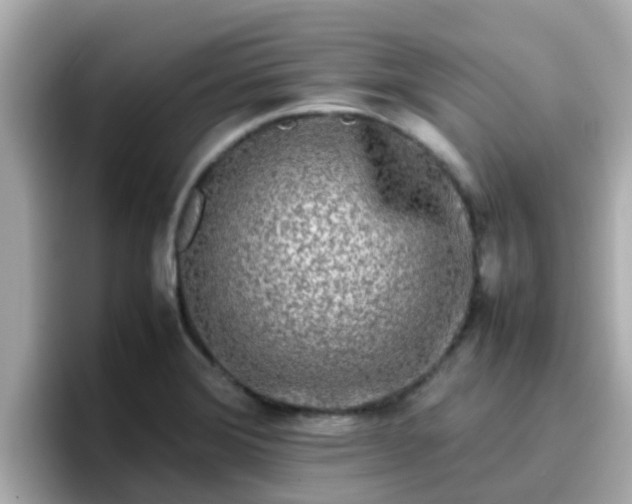 X0000096671372200802121142