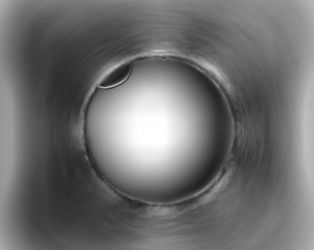 X0000096671374200802121142