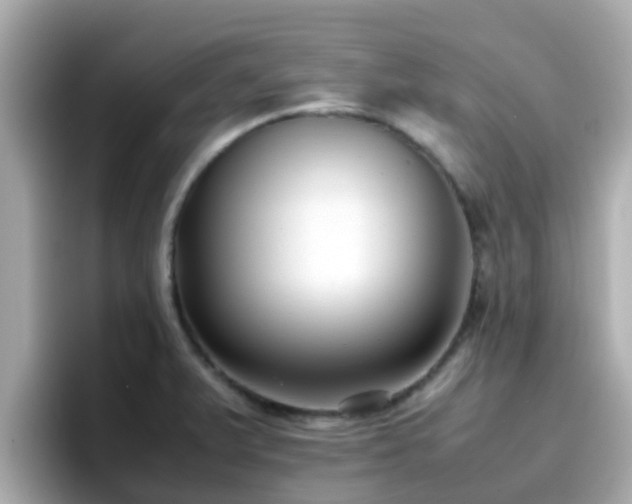 X0000096671375200802121142