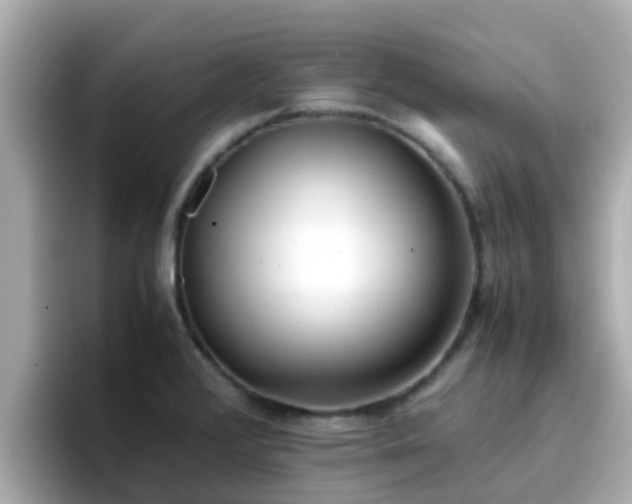 X0000096671376200802121142