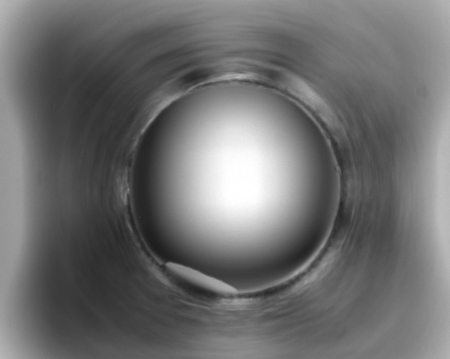 X0000096671377200802121142