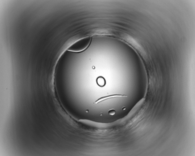X0000096671378200802121142