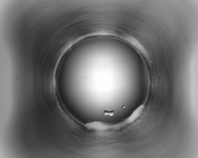 X0000096671380200802121142