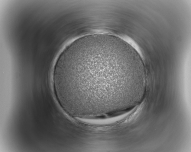 X0000096671381200802121142
