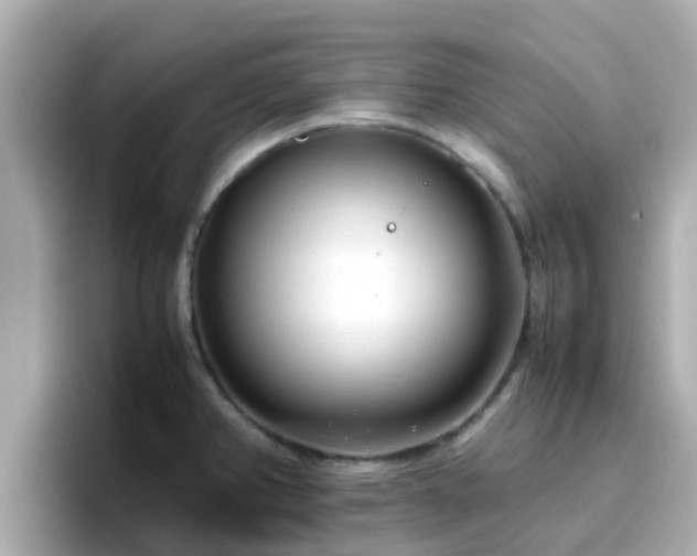 X0000096671382200802121142