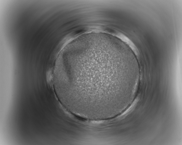 X0000096671385200802121142