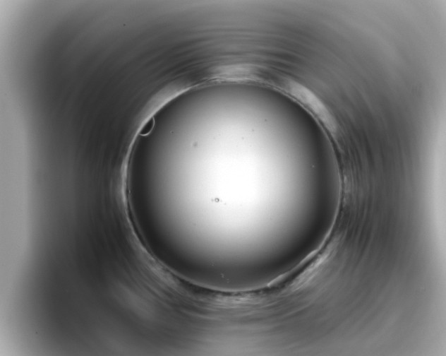 X0000096671386200802121142