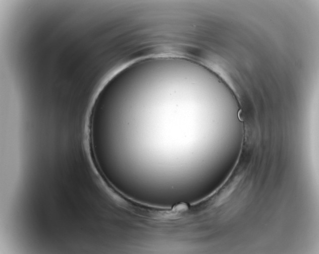 X0000096671387200802121142