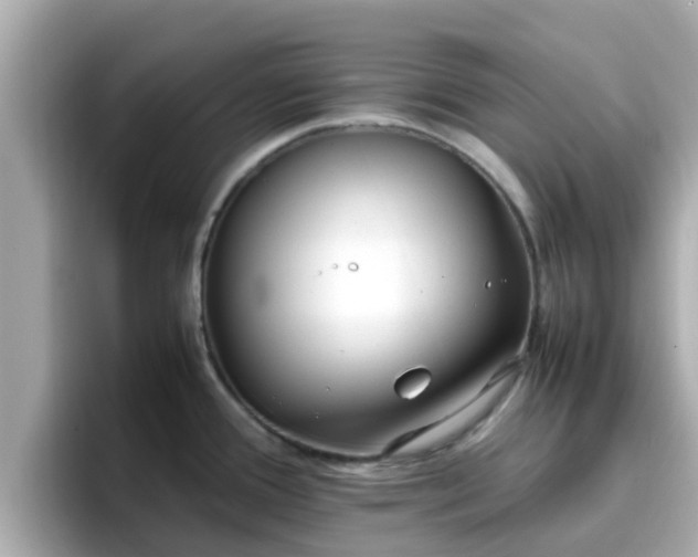 X0000096671388200802121142
