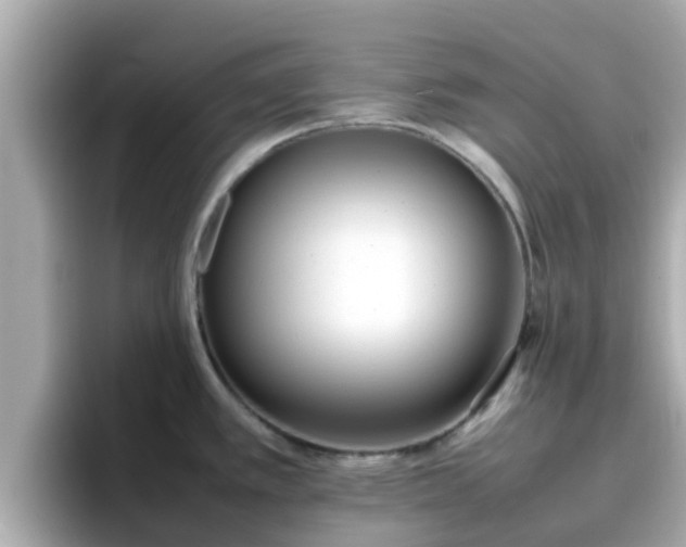 X0000096671389200802121142