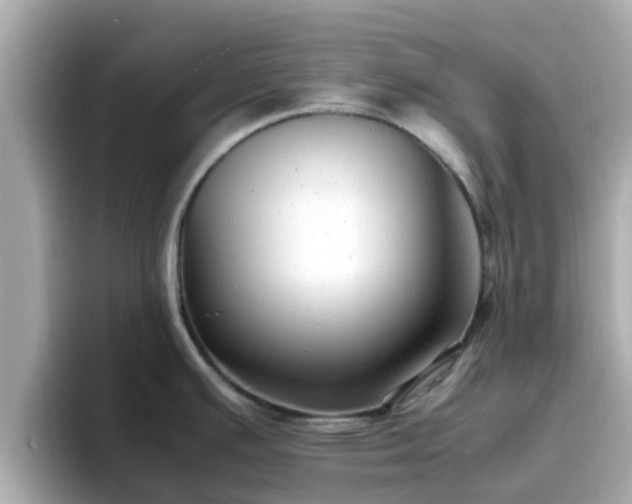 X0000096671391200802121142