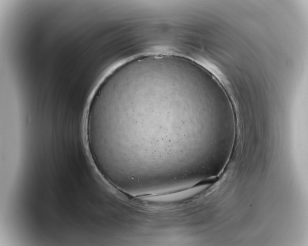 X0000096671392200802121142