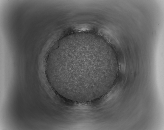 X0000096671393200802121141