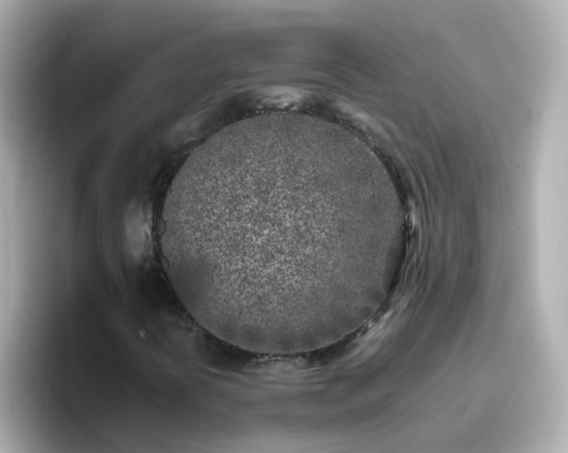 X0000096671394200802121141